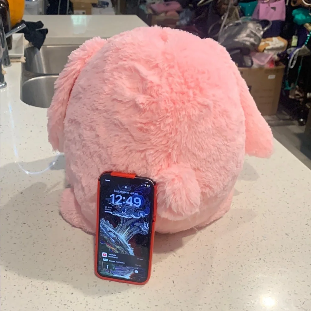 Pink Plush Bunny Bank Toy